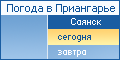 Саянск. Погода на сегодня.