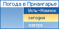 Усть-Илимск. Погода на сегодня.